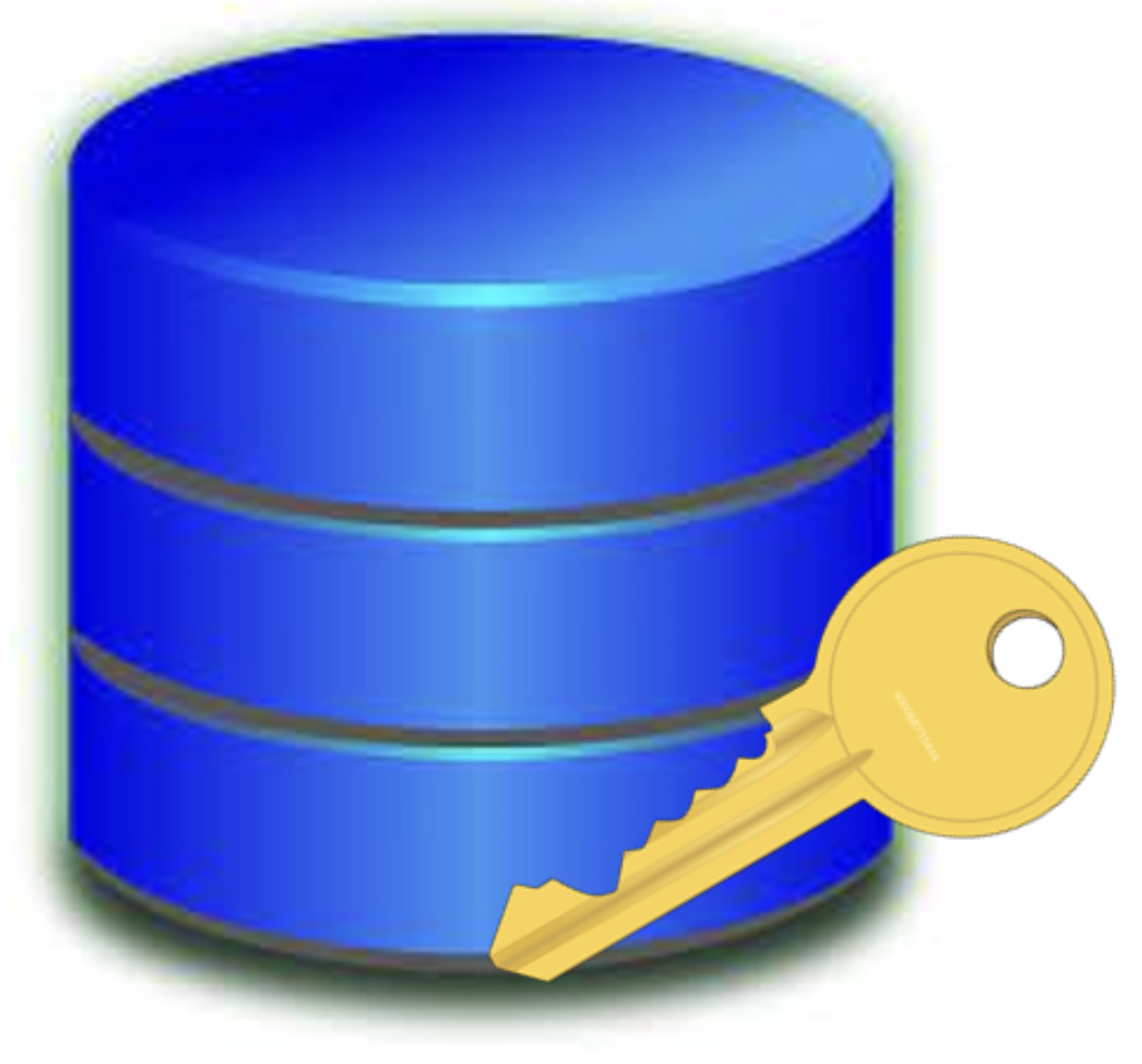 Databasics: 1 – Primary Keys – stevencholerton.com
